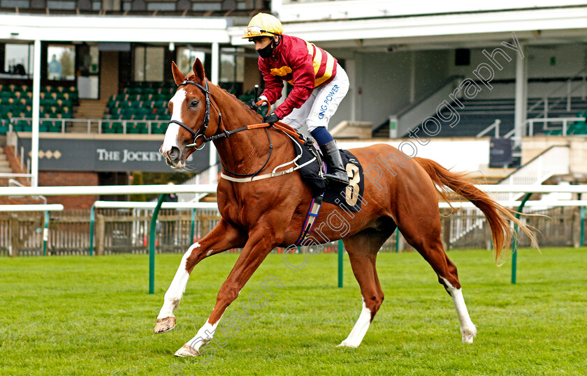 Harlem-Soul-0001 
 HARLEM SOUL (Silvestre De Sousa)
Newmarket 21 Oct 2020 - Pic Steven Cargill / Racingfotos.com