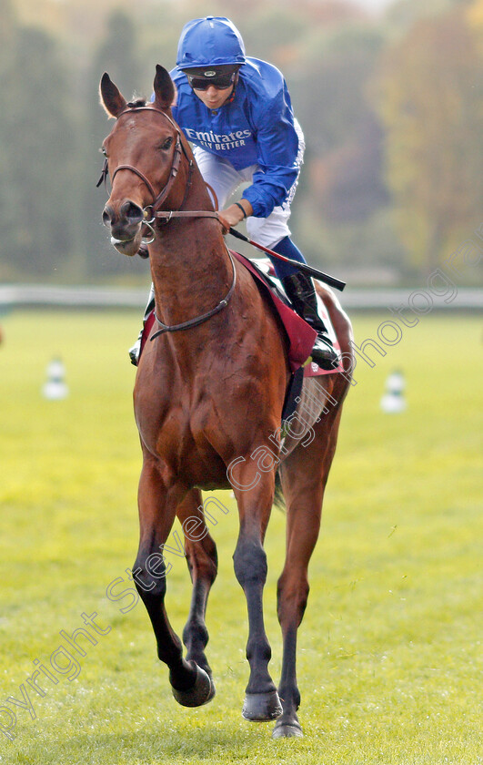 Victor-Ludorum-0001 
 VICTOR LUDORUM (Mickael Barzalona) before The Qatar Prix Jean-Luc Lagadere
Longchamp 6 Oct 2019 - Pic Steven Cargill / Racingfotos.com