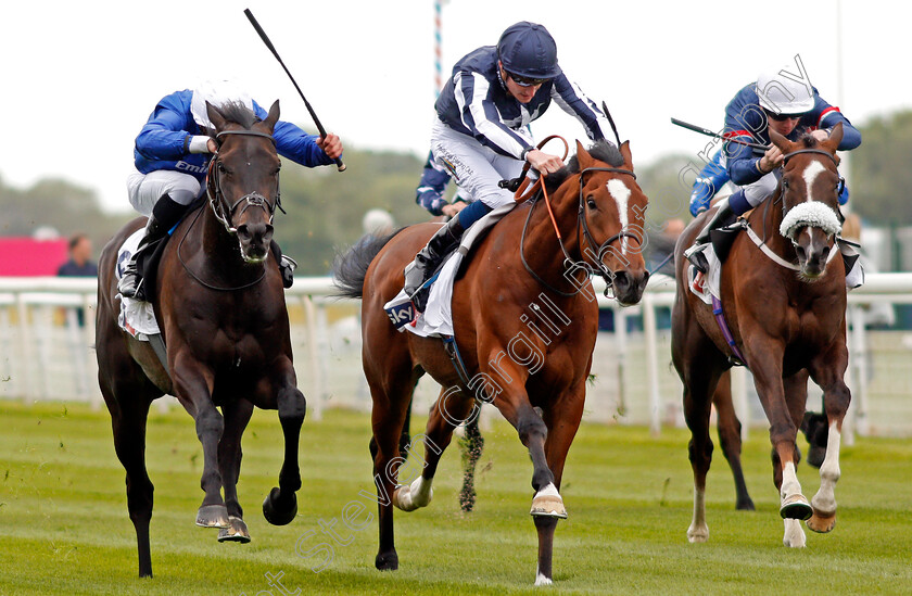 Hamada-0004 
 HAMADA (left, William Buick) beats CROWNED EAGLE (centre) and CONTANGO (right) in The Sky Bet First Race Special Jorvik Handicap York 16 May 2018 - Pic Steven Cargill / Racingfotos.com