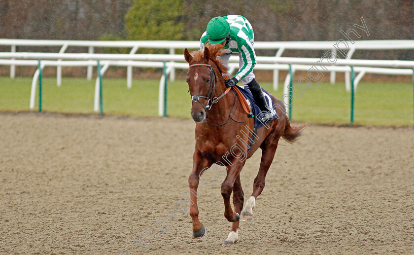 Michigan-0001 
 MICHIGAN (Sean Levey) Lingfield 13 Dec 2017 - Pic Steven Cargill / Racingfotos.com