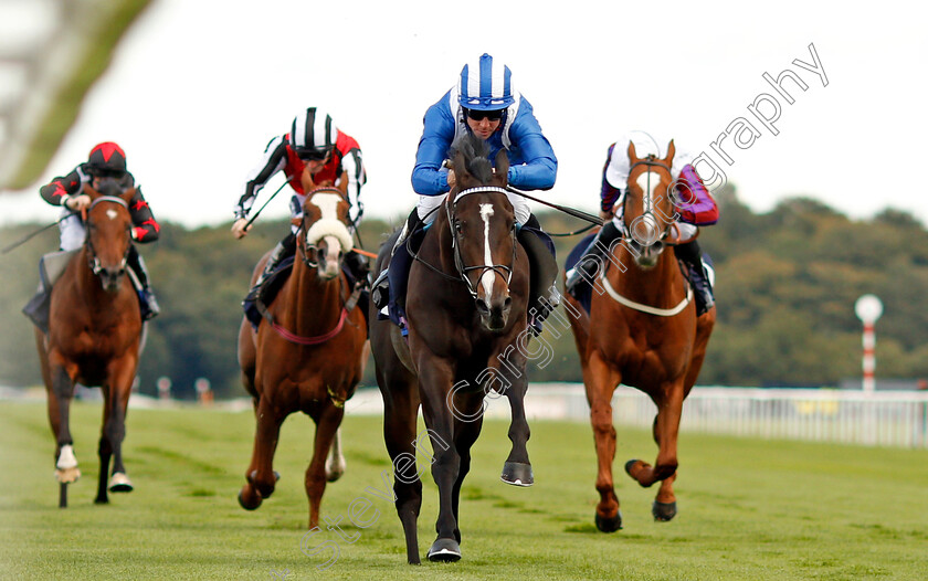 Shabaaby-0002 
 SHABAABY (Jim Crowley) wins The Irish Stallion Farms EBF Stakes Doncaster 13 Sep 2017 - Pic Steven Cargill / Racingfotos.com