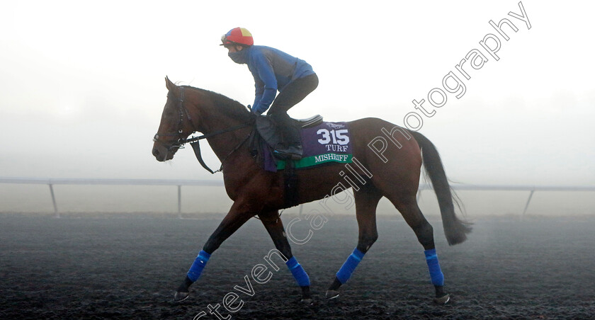 Mishriff-0001 
 MISHRIFF (Frankie Dettori) training for the Breeders' Cup Turf
Keeneland USA 3 Nov 2022 - Pic Steven Cargill / Racingfotos.com