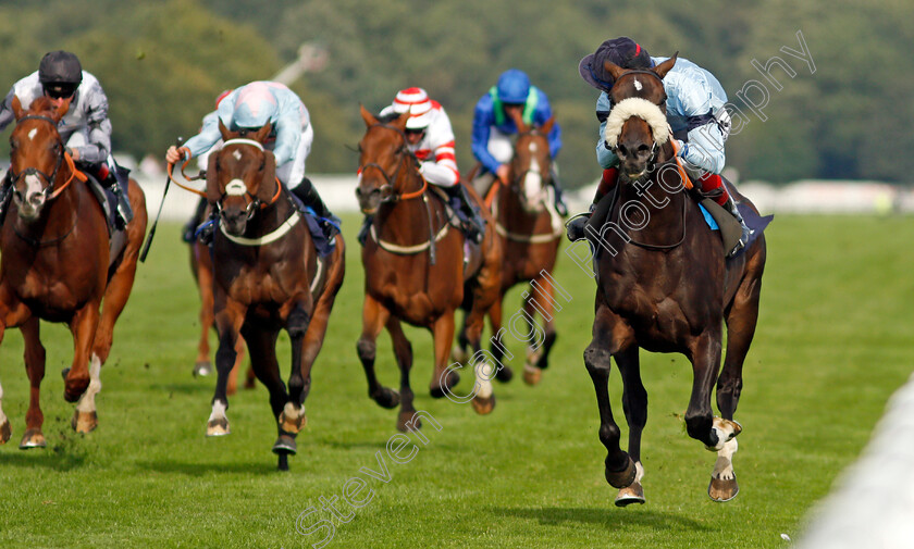 Title-0003 
 TITLE (David Egan) wins The Hippo Pro 3 Handicap
Doncaster 11 Sep 2021 - Pic Steven Cargill / Racingfotos.com