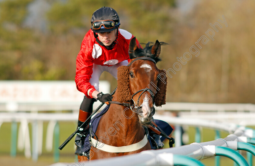 Neat-And-Dandy 
 NEAT AND DANDY (Christian Howarth)
Lingfield 5 Feb 2022 - Pic Steven Cargill / Racingfotos.com