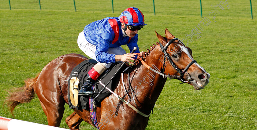 Nayef-Road-0003 
 NAYEF ROAD (Andrea Atzeni) wins The Jockey Club Rose Bowl Stakes
Newmarket 23 Sep 2021 - Pic Steven Cargill / Racingfotos.com