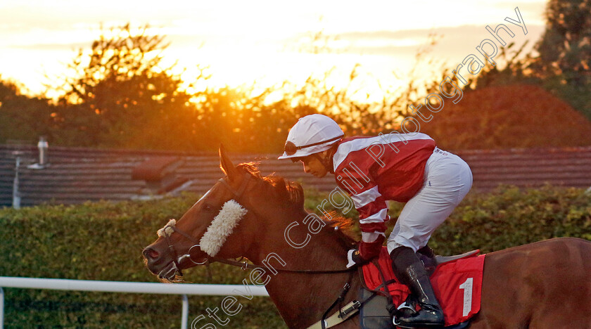 Bluenose-Belle-0002 
 BLUENOSE BELLE (Silvestre de Sousa)
Kempton 28 Aug 2024 - Pic Steven Cargill / Racingfotos.com