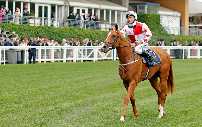 Holloway-Boy-0008 
 HOLLOWAY BOY (Daniel Tudhope) after The Chesham Stakes
Royal Ascot 18 Jun 2022 - Pic Steven Cargill / Racingfotos.com