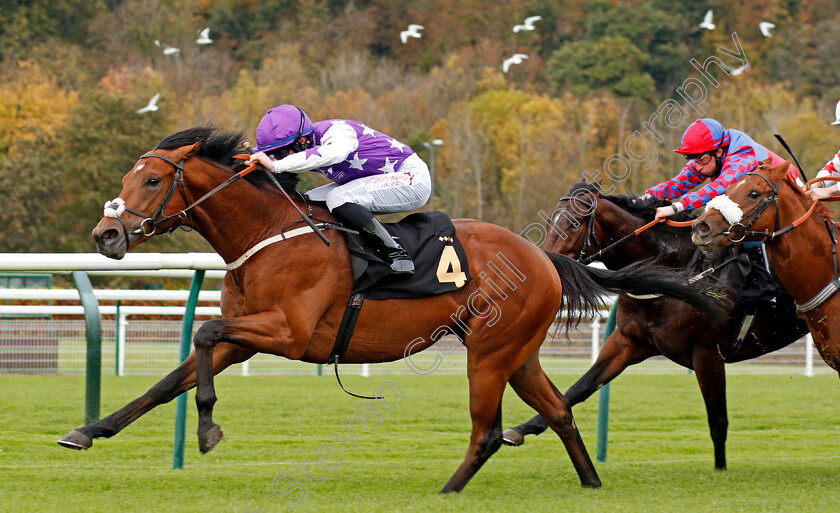 Hey-Mr-0005 
 HEY MR (Rossa Ryan) wins The Like Mansionbet On Facebook Nursery 
Nottingham 28 Oct 2020 - Pic Steven Cargill / Racingfotos.com