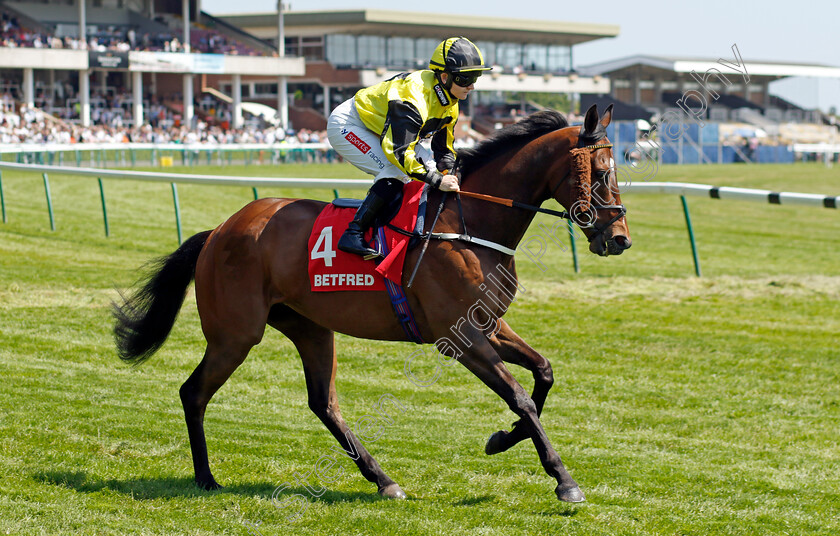 Thunder-Ahead-0001 
 THUNDER AHEAD (Hollie Doyle)
Haydock 27 May 2023 - Pic Steven Cargill / Racingfotos.com