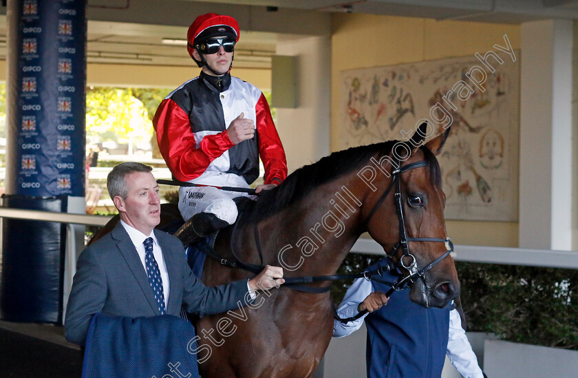 Poker-Face-0002 
 POKER FACE (James Doyle)
Ascot 19 Oct 2024 - Pic Steven Cargill / Racingfotos.com