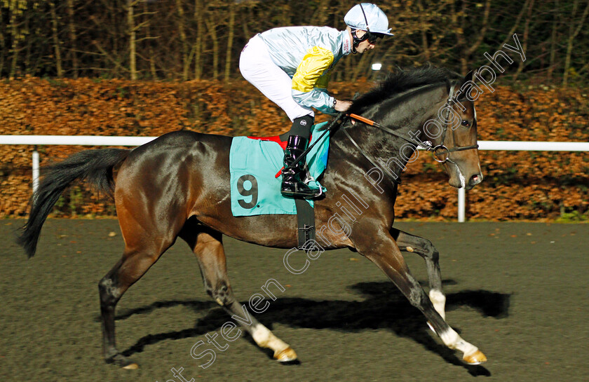 Talas-0001 
 TALAS (Jack Mitchell) Kempton 20 Dec 2017 - Pic Steven Cargill / Racingfotos.com