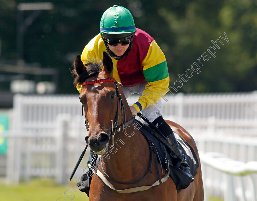 Colour-My-Dream-0001 
 COLOUR MY DREAM (William Carson)
Newbury 16 Jul 2021 - Pic Steven Cargill / Racingfotos.com