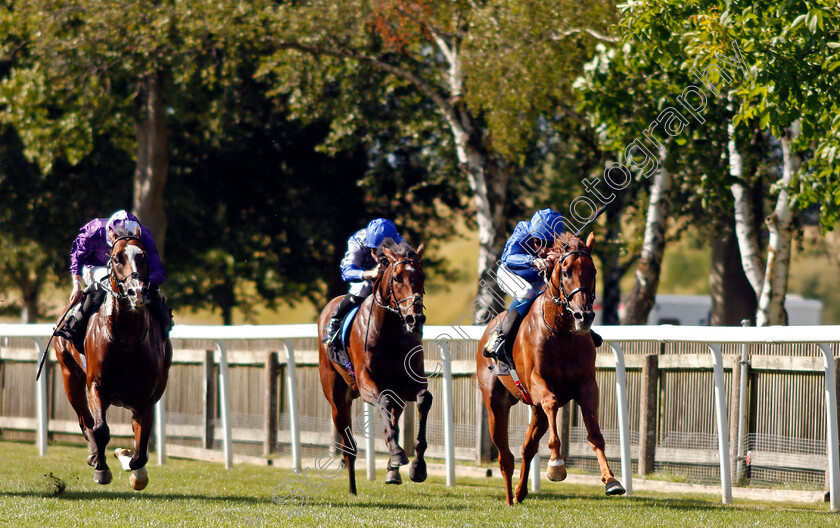 Quintillus-0001 
 QUINTILLUS (William Buick) beats MAXI BOY (left) in The Watch Every Race Live On Racingtv Handicap
Newmarket 7 Aug 2021 - Pic Steven Cargill / Racingfotos.com