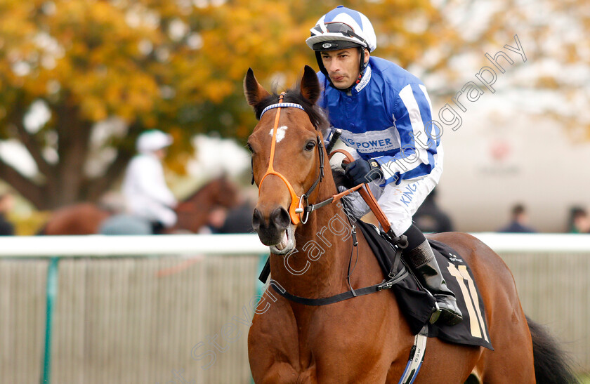 Mafia-Power-0001 
 MAFIA POWER (Silvestre De Sousa)
Newmarket 23 Oct 2019 - Pic Steven Cargill / Racingfotos.com