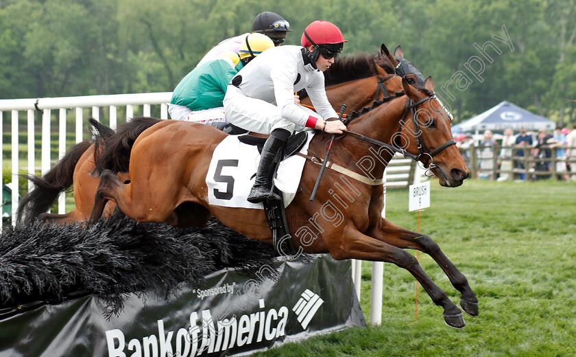 Winston-C-0002 
 WINSTON C (Thomas Garner)
Percy Warner Park, Nashville USA, 11 May 2019 - Pic Steven Cargill / Racingfotos.com