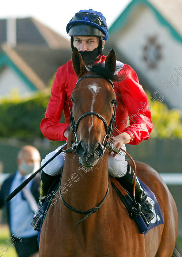 Sealed-Offer-0001 
 SEALED OFFER (Luke Morris)
Yarmouth 17 Sep 2020 - Pic Stevn Cargill / Racingfotos.com