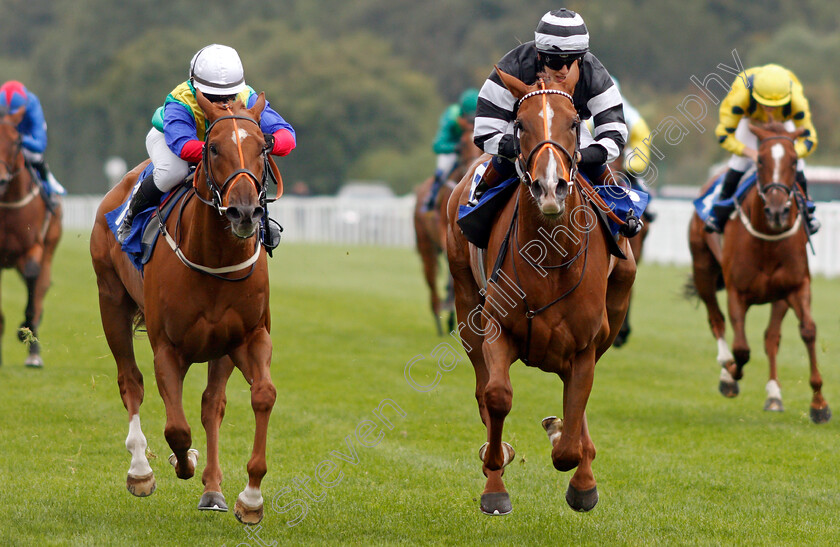 Piselli-Molli-0005 
 PISELLI MOLLI (Morgan Cole) beats WINNETKA (left) in The Byerley Stud Racing Excellence Apprentice Handicap
Salisbury 2 Sep 2021 - Pic Steven Cargill / Racingfotos.com