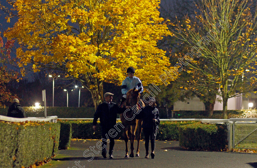 Ammolite-0002 
 AMMOLITE (Jack Mitchell)
Kempton 10 Nov 2021 - Pic Steven Cargill / Racingfotos.com