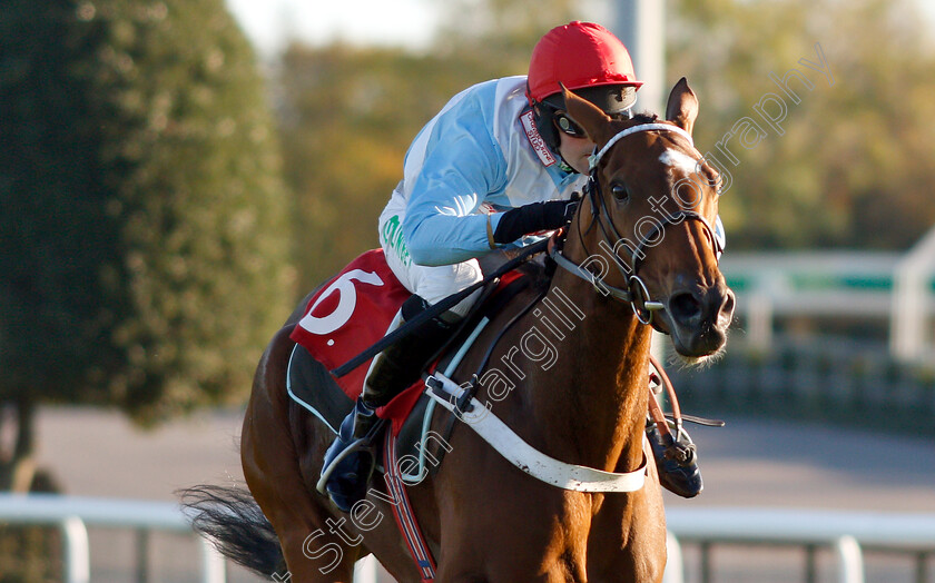 Verdana-Blue-0008 
 VERDANA BLUE (Nico De Boinville) wins The Matchbook VIP Hurdle
Kempton 21 Oct 2018 - Pic Steven Cargill / Racingfotos.com