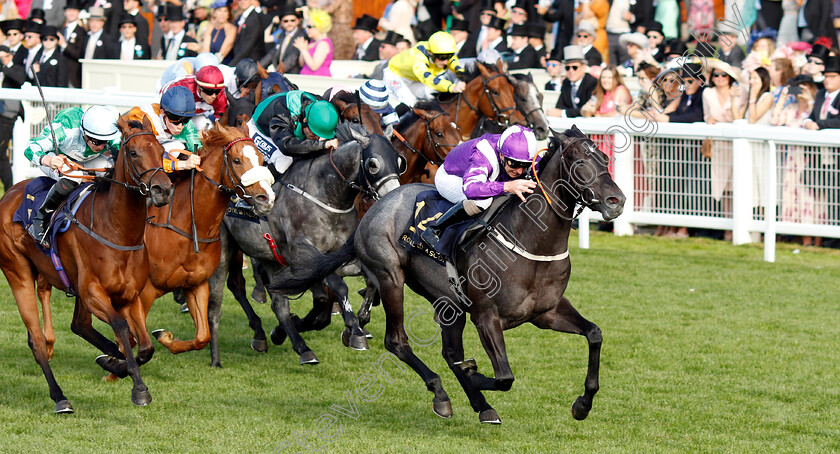 Pilgrim-0004 
 PILGRIM (Joe Fanning) wins The Palace of Holyroodhouse Stakes
Royal Ascot 21 Jun 2024 - Pic Steven Cargill / Racingfotos.com