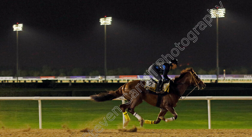 Remake-0001 
 REMAKE training for The Golden Shaheen
Meydan Dubai 26 Mar 2024 - Pic Steven Cargill / Racingfotos.com