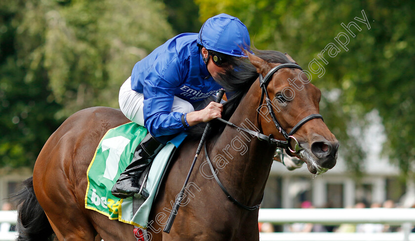 Ancient-Truth-0001 
 ANCIENT TRUTH (William Buick) wins The bet365 Superlative Stakes
Newmarket 13 Jul 2024 - Pic Steven Cargill / Racingfotos.com