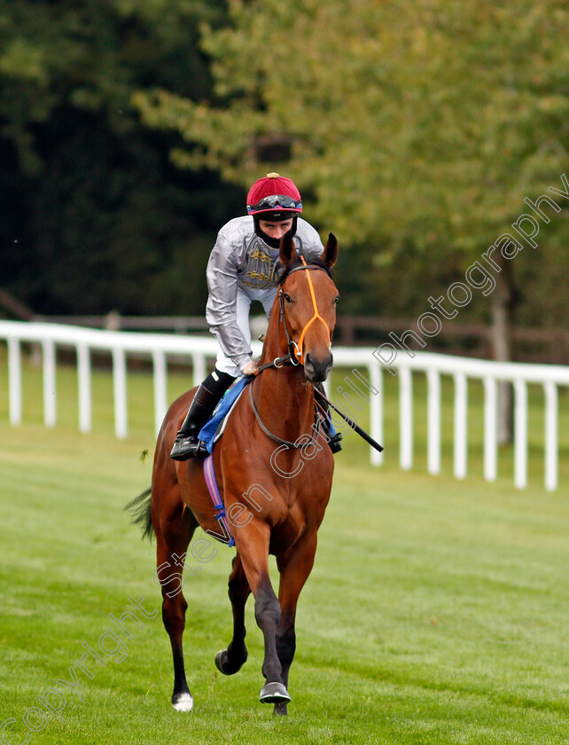 Tajdid-0001 
 TAJDID (Rossa Ryan)
Salisbury 1 Oct 2020 - Pic Steven Cargill / Racingfotos.com