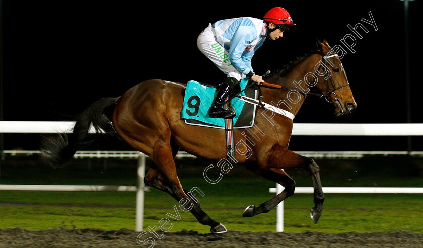 Verdana-Blue-0003 
 VERDANA BLUE (Luke Morris)
Kempton 5 Dec 2018 - Pic Steven Cargill / Racingfotos.com