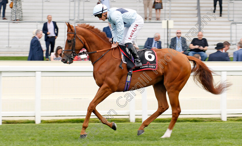 Amsterdam-0001 
 AMSTERDAM (Tom Marquand)
Ascot 26 Jul 2024 - Pic Steven Cargill / Racingfotos.com