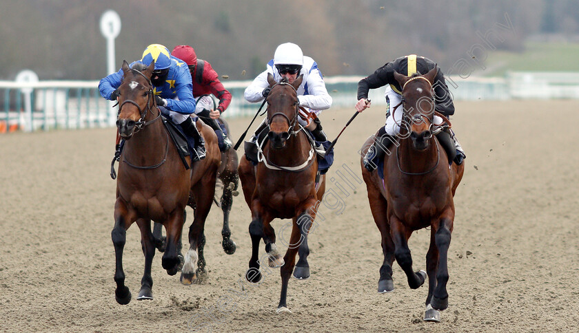 Spirit-Warning-0005 
 SPIRIT WARNING (Joshua Bryan) beats HYPNOS (left) and PORT OF LEITH (centre) in The Ladbrokes Home of The Odds Boost Handicap
Lingfield 2 Feb 2019 - Pic Steven Cargill / Racingfotos.com