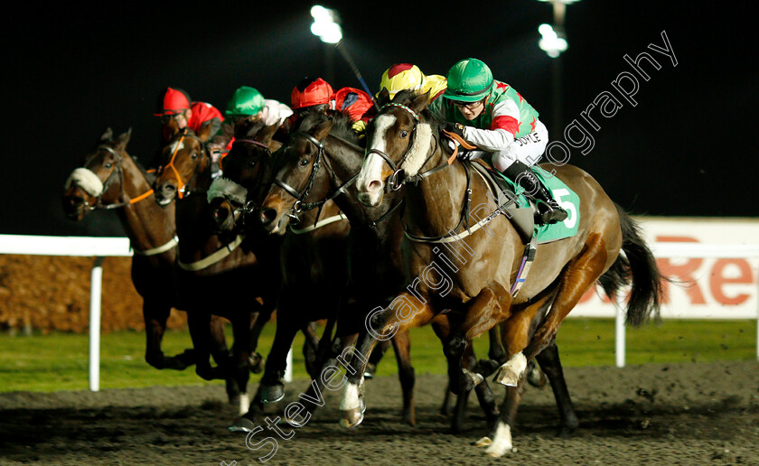 Tigerfish-0005 
 TIGERFISH (Hollie Doyle) wins The 32Red On The App Store Handicap Div2
Kempton 4 Jan 2019 - Pic Steven Cargill / Racingfotos.com