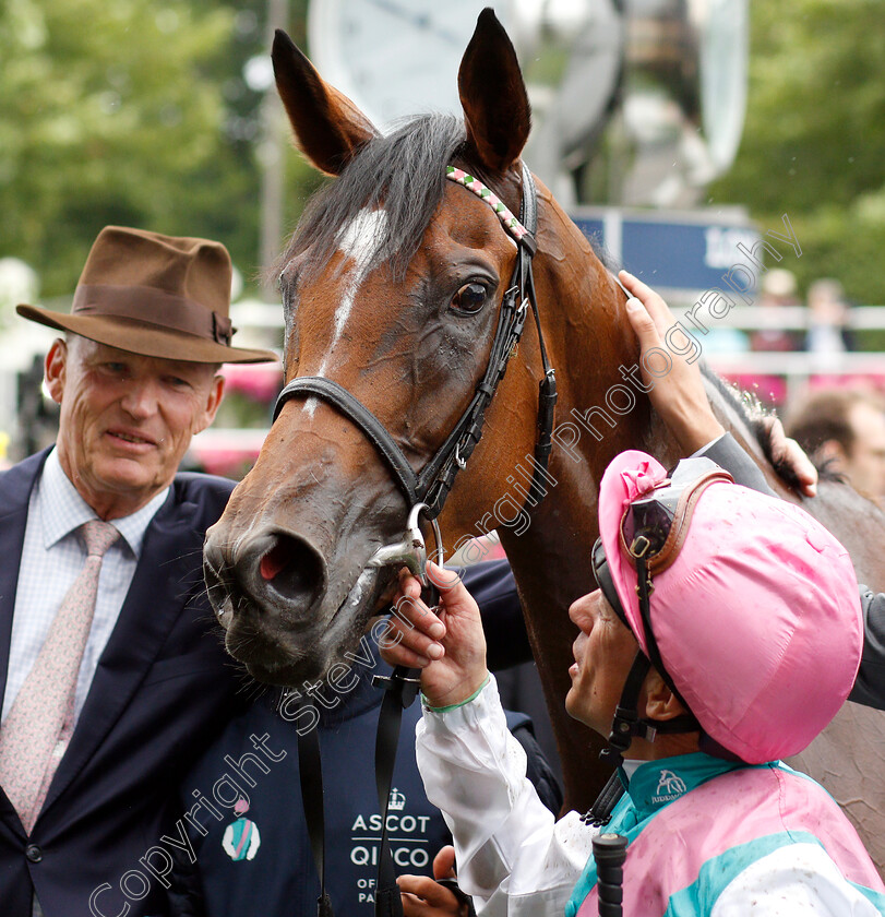 Enable-0028 
 ENABLE (Frankie Dettori) after The King George VI & Queen Elizabeth Stakes
Ascot 27 Jul 2019 - Pic Steven Cargill / Racingfotos.com