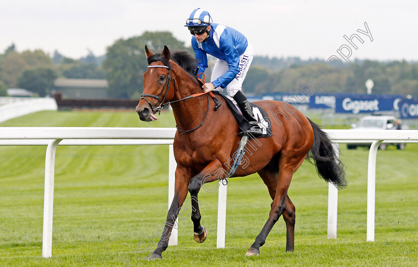 Faylaq-0001 
 FAYLAQ (Dane O'Neill)
Ascot 5 Oct 2019 - Pic Steven Cargill / Racingfotos.com