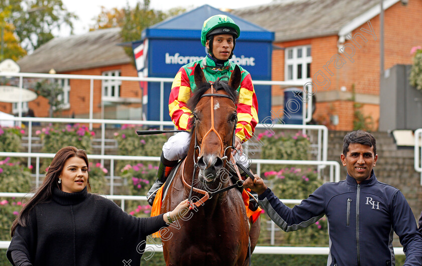 Danehill-Kodiac-0007 
 DANEHILL KODIAC (Sean Levey) after The Gigaset Cumberland Lodge Stakes Ascot 7 Oct 2017 - Pic Steven Cargill / Racingfotos.com