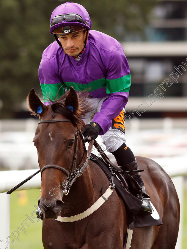 Dan s-Dream-0001 
 DAN'S DREAM (Silvestre De Sousa)
Newbury 18 Aug 2018 - Pic Steven Cargill / Racingfotos.com