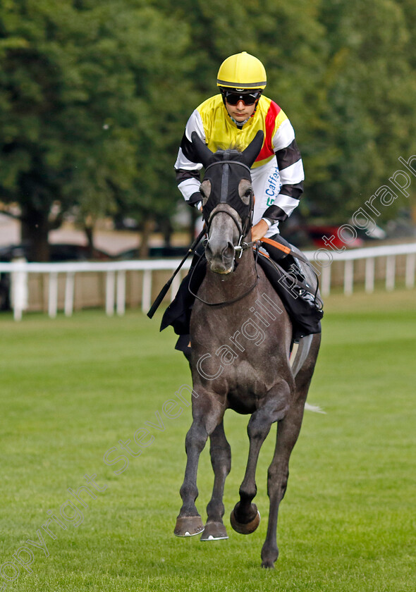 Nuble-0001 
 NUBLE (Stefano Cherchi) winner of The Follow @racingtv On Instagram Fillies Handicap
Newmarket 29 Jul 2022 - Pic Steven Cargill / Racingfotos.com