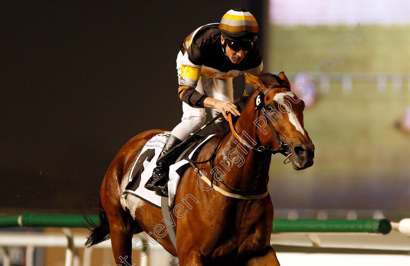 Los-Barbados-0008 
 LOS BARBADOS (Adrie de Vries) wins The EGA Al Taweelah Trophy Handicap Meydan 25 Jan 2018 - Pic Steven Cargill / Racingfotos.com