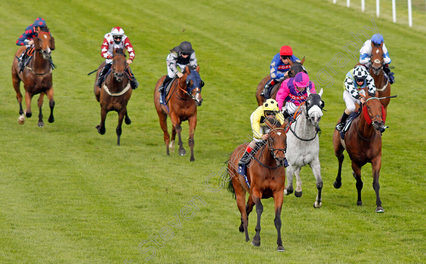 Aristocratic-Lady-0005 
 ARISTOCRATIC LADY (Andrea Atzeni) wins The Sky Sports Racing Sky 415 Handicap
Yarmouth 15 Jul 2020 - Pic Steven Cargill / Racingfotos.com