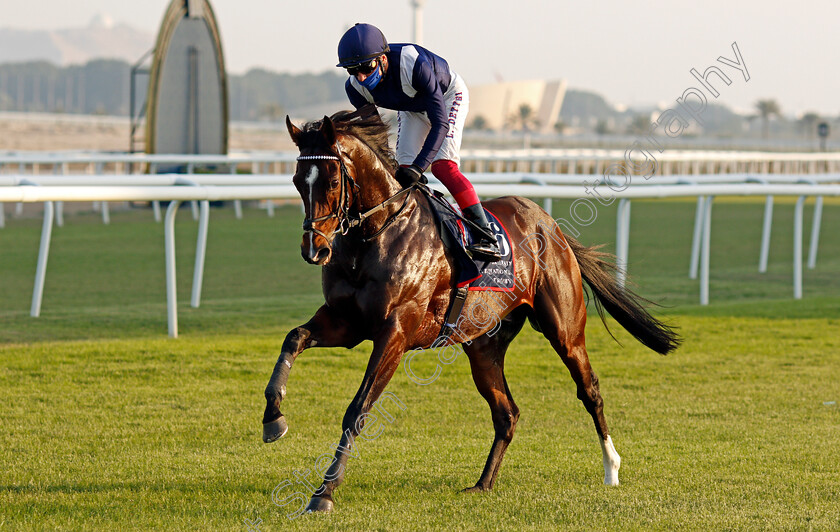 Global-Giant-0002 
 GLOBAL GIANT (Frankie Dettori)
Bahrain 20 Nov 2020 - Pic Steven Cargill / Racingfotos.com