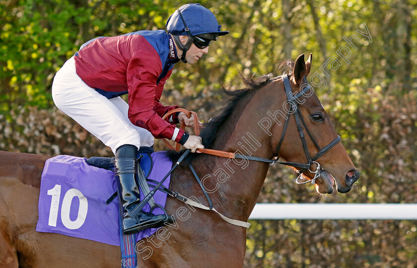 Ingra-Tor-0001 
 INGRA TOR (Ben Curtis)
Kempton 10 Apr 2023 - Pic Steven Cargill / Racingfotos.com