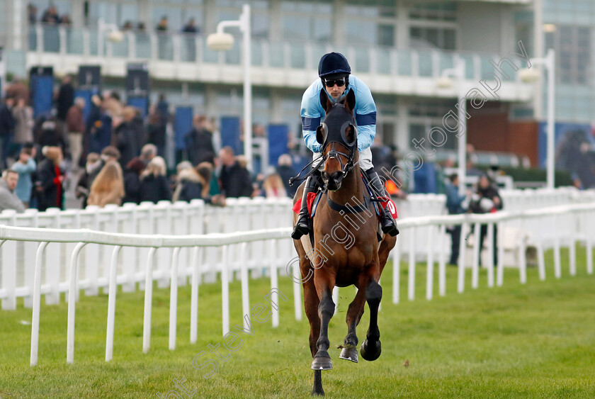 Mount-Tempest-0009 
 MOUNT TEMPEST (Harry Skelton) winner of The Best Odds On The Betfair Exchange Handicap Chase
Sandown 8 Dec 2023 - pic Steven Cargill / Racingfotos.com