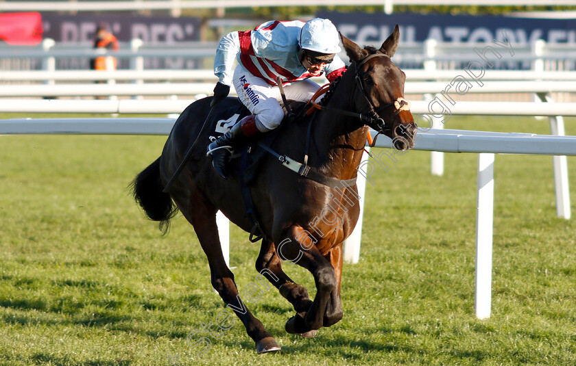 Lalor-0004 
 LALOR (Richard Johnson) wins The Racing Post Arkle Trophy Trial Novices Chase
Cheltenham 18 Nov 2018 - Pic Steven Cargill / Racingfotos.com