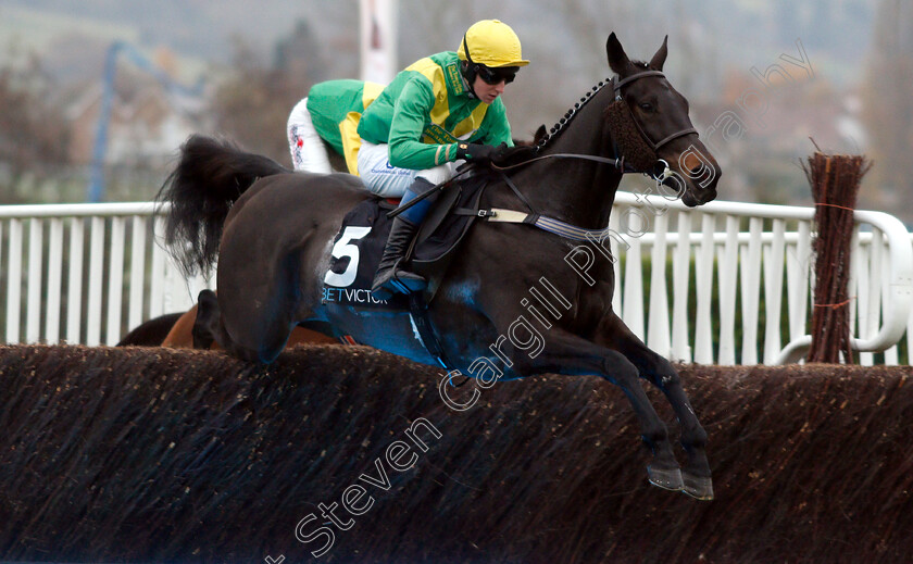 Rock-On-Rocky-0002 
 ROCK ON ROCKY (Stan Sheppard)
Cheltenham 16 Nov 2018 - Pic Steven Cargill / Racingfotos.com