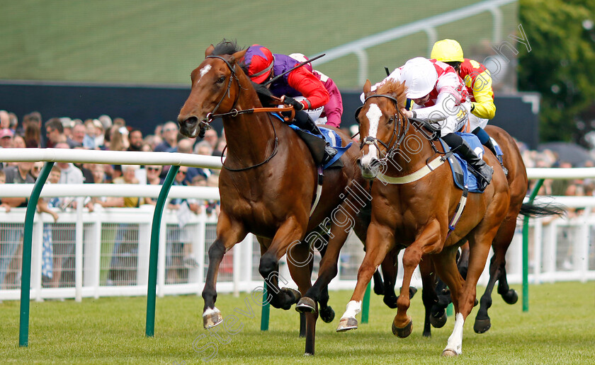 Pumalin-Park-0004 
 PUMALIN PARK (left, Saffie Osborne) beats SNUGGLE (right) in The George Jeffery Memorial Handicap
Salisbury 16 Jun 2024 - pic Steven Cargill / Racingfotos.com