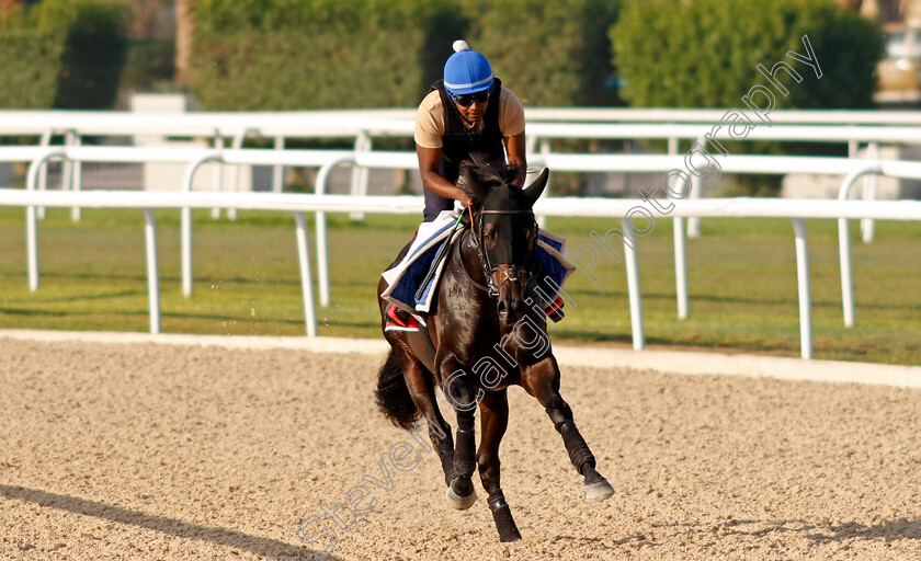 Alflaila-0006 
 ALFLAILA training for the Bahrain International Trophy
Kingdom of Bahrain 13 Nov 2024 - Pic Steven Cargill / Racingfotos.com