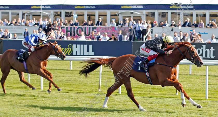 Stradivarius-0008 
 STRADIVARIUS (Frankie Dettori) beats CLEONTE (left) in The Magners Rose Doncaster Cup
Doncaster 13 Sep 2019 - Pic Steven Cargill / Racingfotos.com