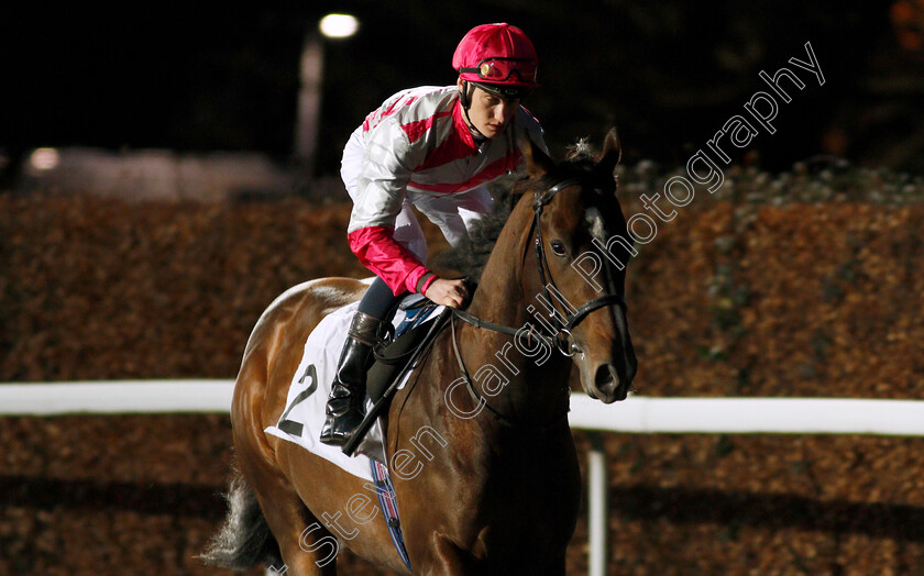 Endured-0001 
 ENDURED (Daniel Muscutt)
Kempton 29 Jan 2020 - Pic Steven Cargill / Racingfotos.com