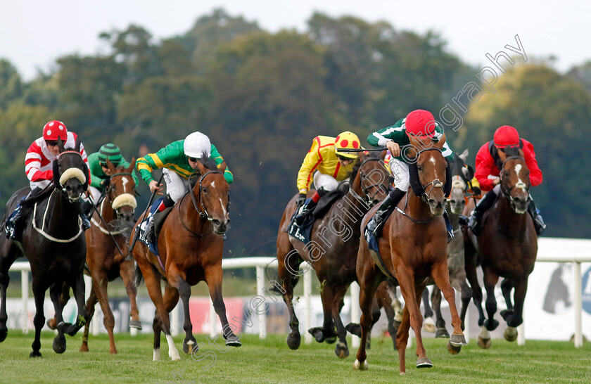 Satin-0004 
 SATIN (Shane Foley) beats COMFORT ZONE (left) in The Irish Stallion Farms EBF Petingo Handicap
Leopardstown 9 Sep 2023 - Pic Steven Cargill / Racingfotos.com