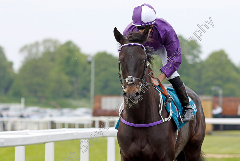 Cuban-Thunder-0007 
 CUBAN THUNDER (Kevin Stott) winner of The Frank Whittle Partnership ebfstallions.com Maiden Stakes
York 18 May 2023 - Pic Steven Cargill / Racingfotos.com