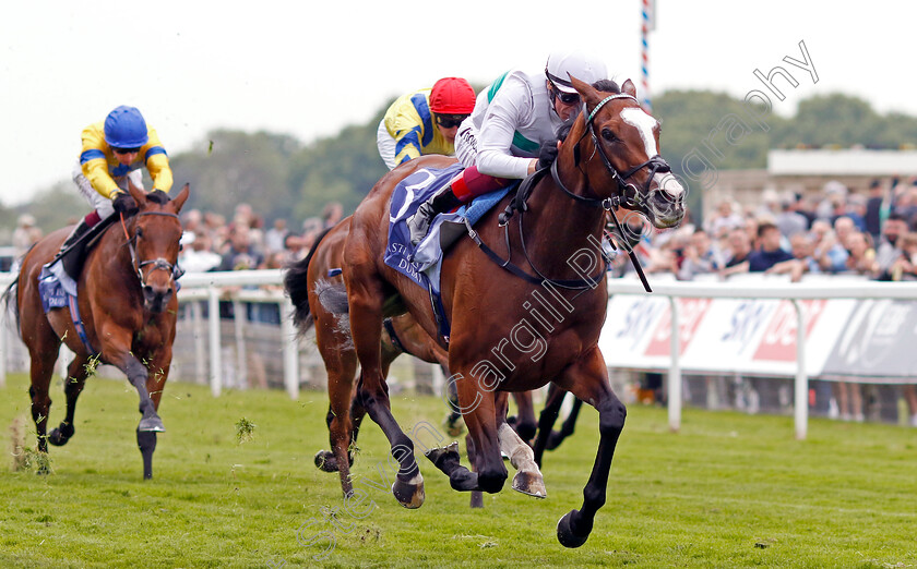 Free-Wind-0004 
 FREE WIND (Frankie Dettori) wins The Al Basti Equiworld Dubai Middleton Fillies Stakes
York 18 May 2023 - Pic Steven Cargill / Racingfotos.com